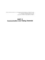 Tài liệu Digital communication receivers P11 ppt