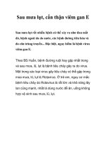 Tài liệu Sau mưa lụt, cẩn thận viêm gan E pdf