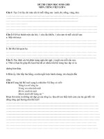 Tài liệu ĐỀ THI CHỌN HỌC SINH GIỎI MÔN TIẾNG VIỆT LỚP 4 doc