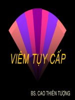 Tài liệu VIÊM TỤY CẤP doc