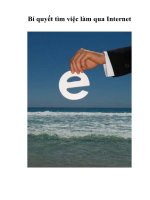 Tài liệu Bí quyết tìm việc làm qua Internet pptx