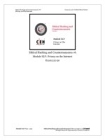 CEHv6 module 45 privacy on the internet 