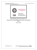 CEHv6 module 36 hacking mobile phones, PDA and handheld devi 