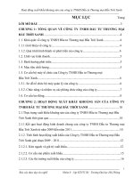 HOẠT ĐỘNG XUẤT KHẨU KHOÁNG SẢN CỦA CÔNG TY TNHH ĐẦU TƯ THƯƠNG MẠI BẦU TRỜI XANH (2)