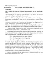 Đề cương môn pháp luật