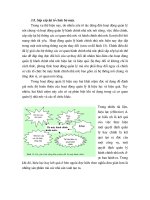 Tài liệu Quyển 1_Nội dung quản lý hành chính (P8) pdf