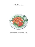 Tài liệu Gà Mimosa pptx