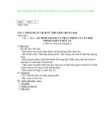 Bài soạn giao an su cuc hay