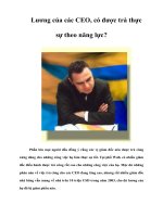 Tài liệu Lương của các CEO, có được trả thực sự theo năng lực? pptx