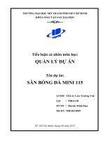 Tiểu luận cá nhân môn học QUẢN lý dự án tên dự án sân BÓNG đá MINI 115 