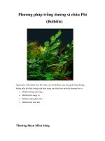 Tài liệu Phương pháp trồng dương xỉ châu Phi (Bolbitis) pdf