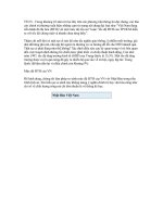 Tài liệu Thị hoá ờ VN và Tp HCM nhanh hay chậm ppt