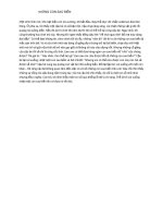 Gián án hat giông tâm hôn