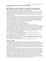 Tài liệu Strategy Execution for Risk Management pptx