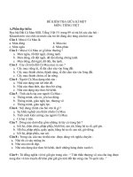 Gián án ĐỀ THI GIỮA KÌ I LỚP 5