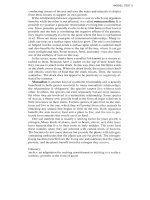 Tài liệu How to prepare for the toefl part 47 pptx