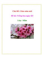 Tài liệu Chủ Đề: Chào năm mới Đề tài: Trồng hoa ngày tết! Lớp : Mầm pptx