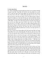 Thế giới nghệ thuật tiểu thuyết ngõ lỗ thủng của trung trung đỉnh 