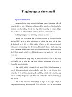 Tài liệu Tăng lượng oxy cho cá nuôi ppt