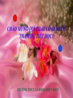 Tài liệu Tiết 41:II. NHỮNG CUỘC KHỞI NGHĨA LỚN TRONG PHONG TRÀO CẦN VƯƠNG