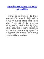 Tài liệu Đặc điểm thích nghi tự vệ ở lưỡng cư pptx