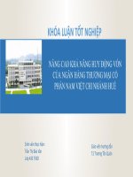 NÂNG CAO KHẢ NĂNG HUY ĐỘNG vốn của NGÂN HÀNG THƯƠNG mại cổ PHẦN NAM VIỆT CHI NHÁNH HUẾ 