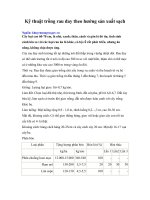 Tài liệu Kỹ thuật trồng rau đay theo hướng sản xuất sạch pdf