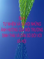Tài liệu Bài 4: TỰ NHIÊN VÀ XÃ HỘI NHỮNG ẢNH HƯỞNG CỦA MÔI TRƯỜNG SINH THÁI VÀ DÂN SỐ ĐỐI VỚI XÃ HỘI docx