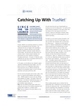 Tài liệu KRONE - White Paper - Catching up with Truenet pptx