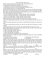 Gián án BT tổng hợp lần 2