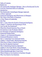 Ebook - The Emotionally Intelligent Manager (Nhà quản lý thông minh cảm xúc)