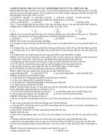 Bài soạn BT tổng hợp lần 11