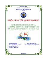 Nghiên cứu động cơ sử dụng dịch vụ interntet banking của khách hàng cá nhân tại ngân hàng TMCP quốc tế (VIB) – chi nhánh huế 