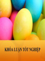 Slide NÂNG CAO CHẤT LƯỢNG PHỤC vụ của bộ PHẬN lễ tân KHÁCH sạn SÔNG HƯƠNG – THÀNH PHỐ HUẾ 