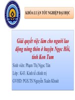 Giải quyết việc làm cho người lao động nông thôn ở huyện ngọc hồi, tỉnh kon tum 