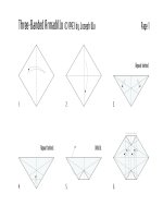 Tài liệu Nghệ thuật xếp hình Nhật Bản:armadillo ppt