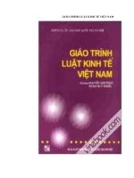 Tài liệu Giáo trình luật kinh tế Việt Nam docx