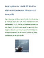 Tài liệu Cuộc nghiên cứu của ML&S đã chỉ ra những giá trị mà người tiêu dùng coi trọng doc