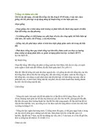 Tài liệu Trồng và chăm sóc chè pdf