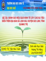 Slide ĐÁNH GIÁ HIỆU QUẢ KINH tế cây CAO SU TIỂU điền TRÊN địa bàn xã LINH hải, HUYỆN GIO LINH, TỈNH QUẢNG TRỊ 