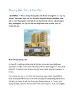 Tài liệu Thương Hiệu Bán Lẻ Cao Cấp pdf