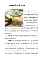 Tài liệu Cháo thuốc đuổi bệnh docx