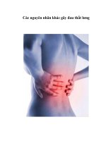 Tài liệu Các nguyên nhân khác gây đau thắt lưng doc