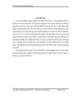 PHÂN TÍCH, ĐÁNH GIÁ về PHONG CÁCH LÃNH đạo của một NHÀ LÃNH đạo DOANH NGHIỆP mà bạn NGƯỠNG mộ 