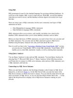 Tài liệu Using SQL phần 1 doc