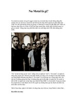Tài liệu Nu Metal là gì? ppt