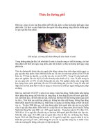 Tài liệu Thức ăn đường phố