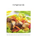 Tài liệu Cá Ngừ Lúc Lắc docx