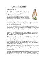 Tài liệu Cô dâu lãng mạn doc