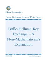 Tài liệu Diffie-Hellman Key Exchange – A Non-Mathematician’s Explanation docx